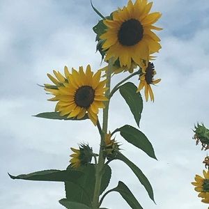 Meet your Posher, Kristina